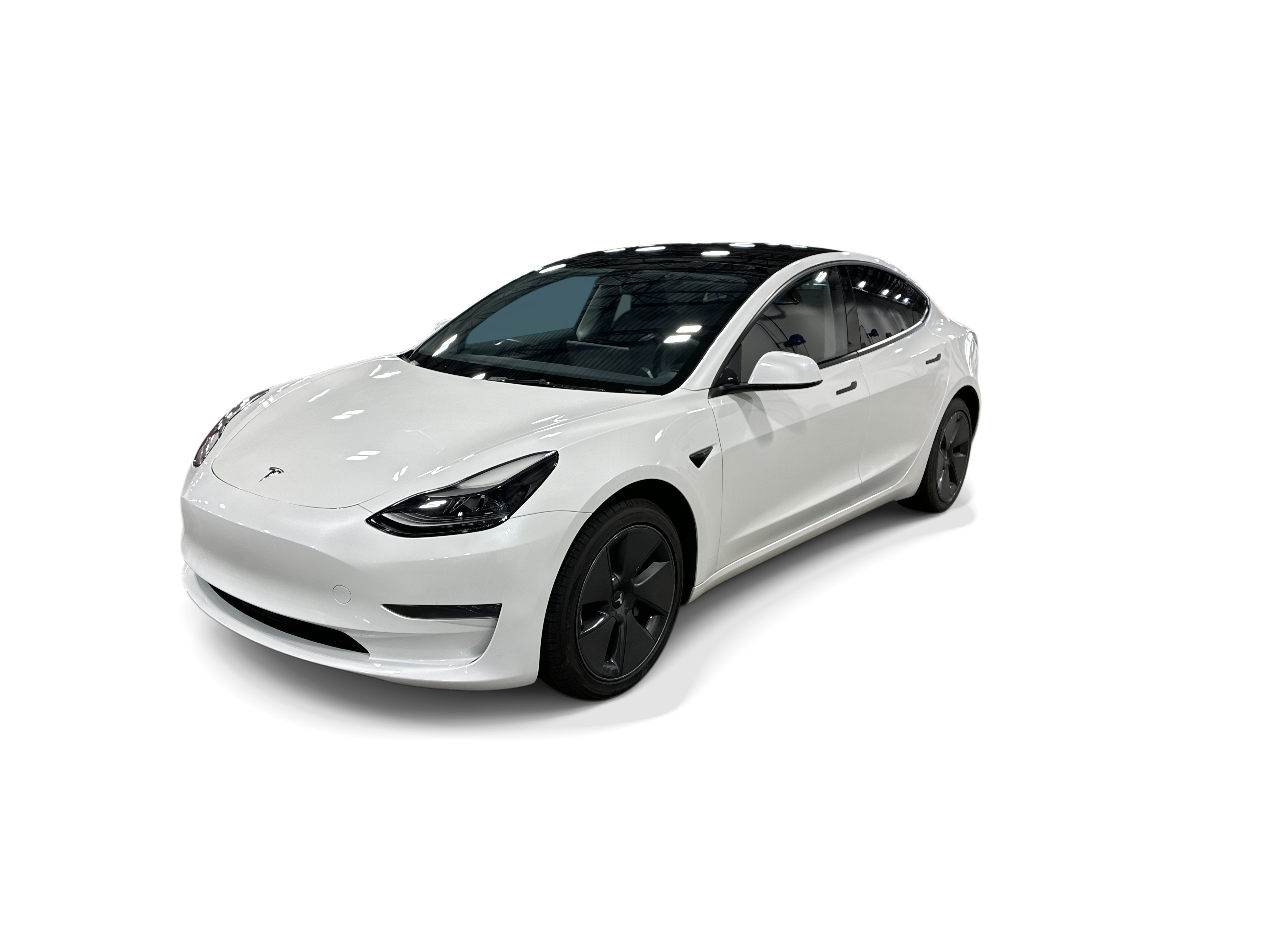 tesla model 3 2023 5YJ3E1EA2PF567571 image tesla model 3 2023 5YJ3E1EA2PF567571 image